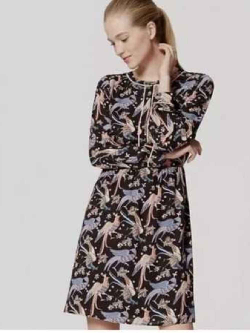 Ann Taylor Loft Bird-Print Dress